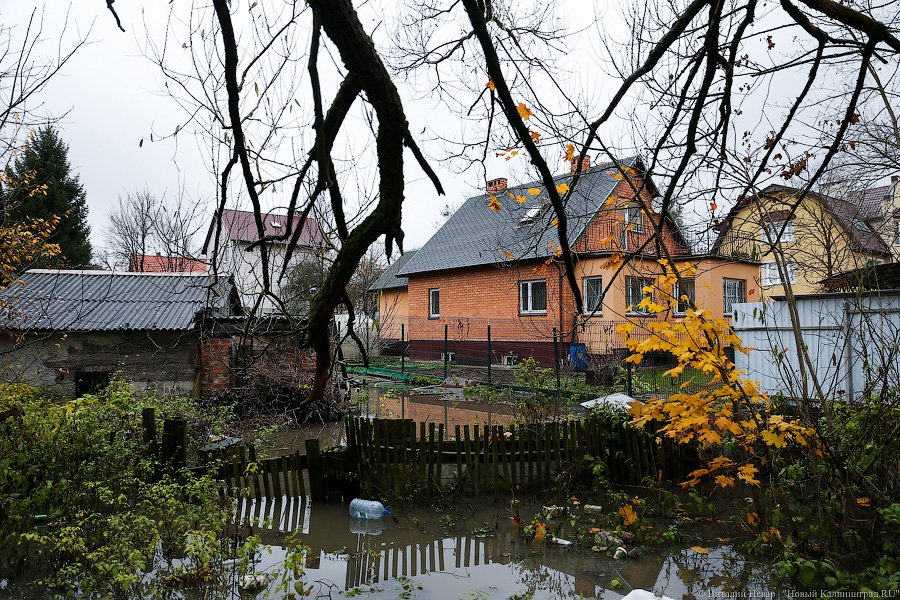 Водный мир на Орудийной: в Калининграде тонет в болоте жилой дом