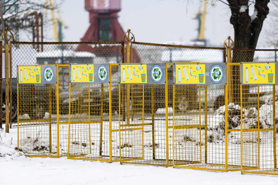 «Ничего на свалку не уйдет»: в Калининграде стали раздельно собирать 14 видов отходов (фото)