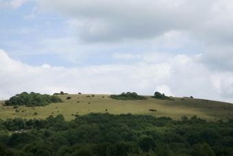 Губернатор предложил муниципалитетам найти 200 га под парк развлечений
