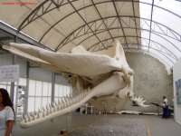 Современное искусство в музейном пространстве