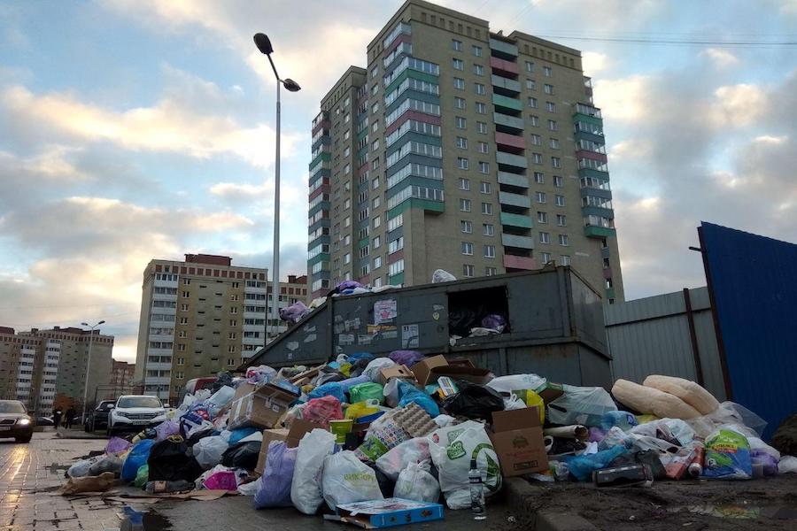 Власти региона хотят, чтобы население могло следить за вывозом мусора онлайн