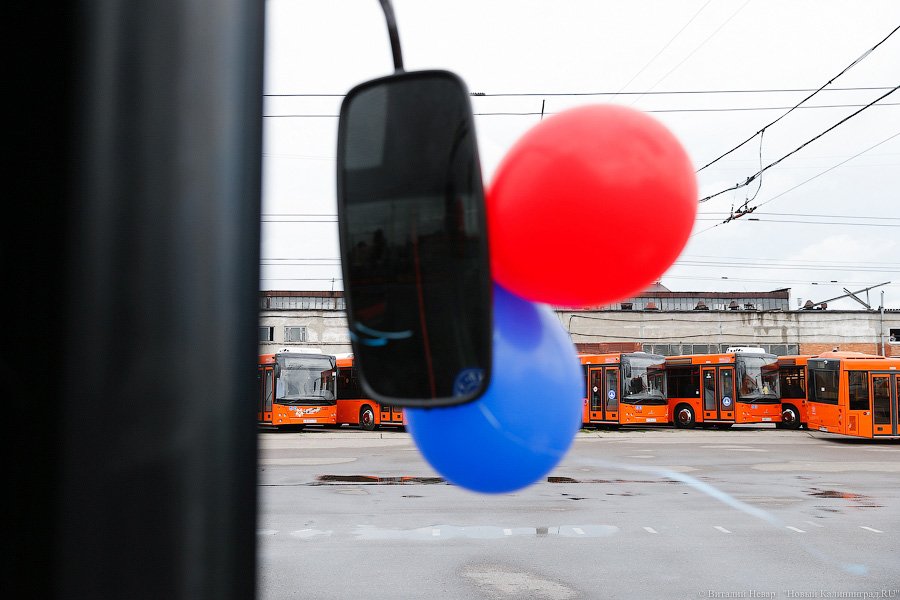 Оранжевое счастье: Калининграду передали 100 новых автобусов МАЗ (фото)
