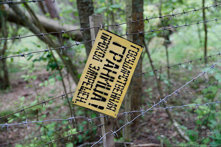 Число уехавших из Калининграда на Украину увеличилось на 92,72%, в Казахстан — в 2,5 раза