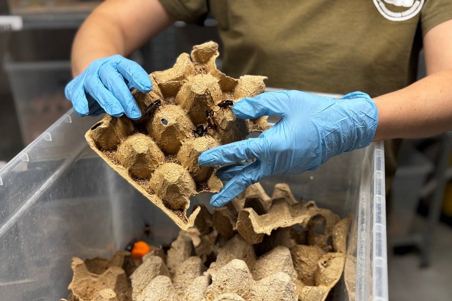 Фото пресс-службы Калининградского зоопарка