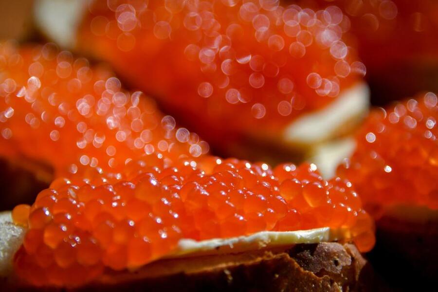 Исследование: в России за год бутерброд с красной икрой подорожал на 13%