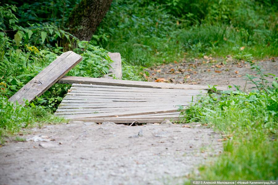 В ожидании чуда: судьба Макс-Ашманн-парка