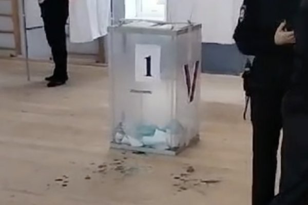 Власти: бюллетени из залитой урны в Зеленоградске учтут в голосовании