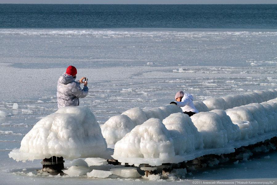 "Аки посуху": фоторепортаж "Нового Калининграда.Ru"