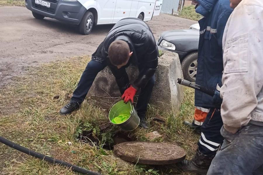 Мэрия предупреждает о возможном позеленении реки Лесной и канала