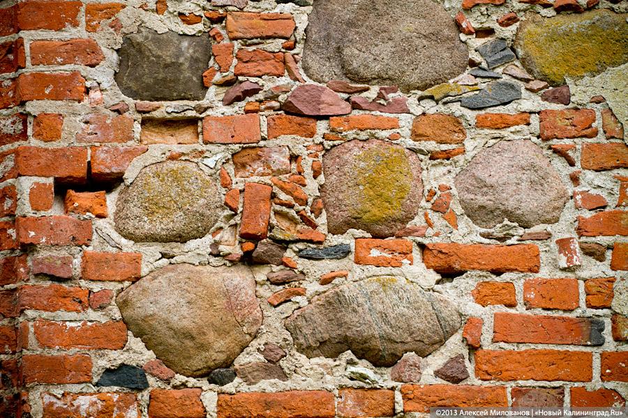 «А денег нет»: в переданной РПЦ кирхе 14-го века в Храброво валяются человеческие кости