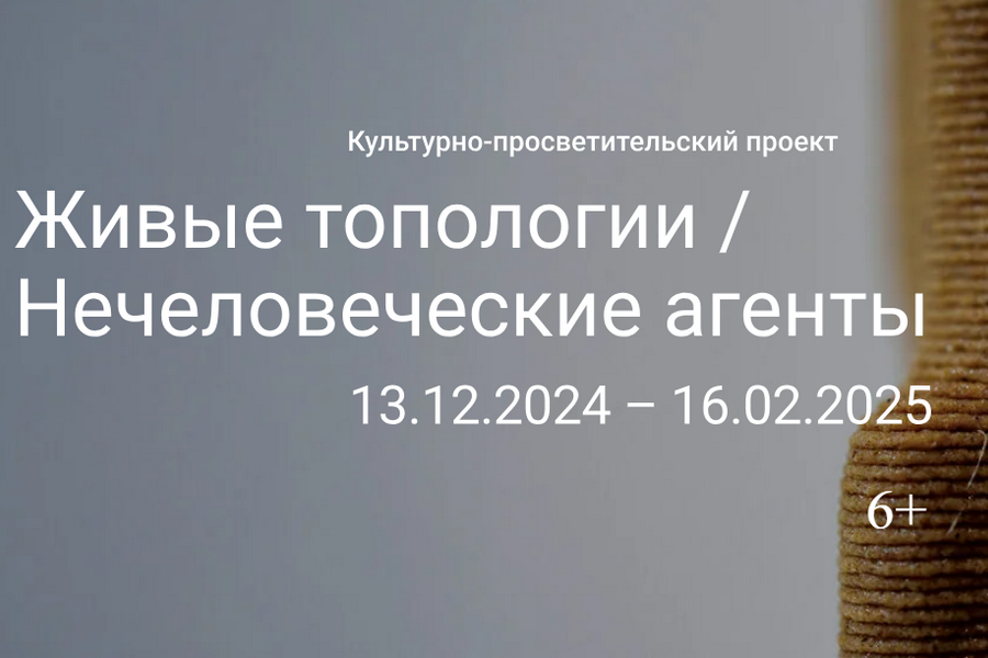 Фото: скриншот с афиши проекта