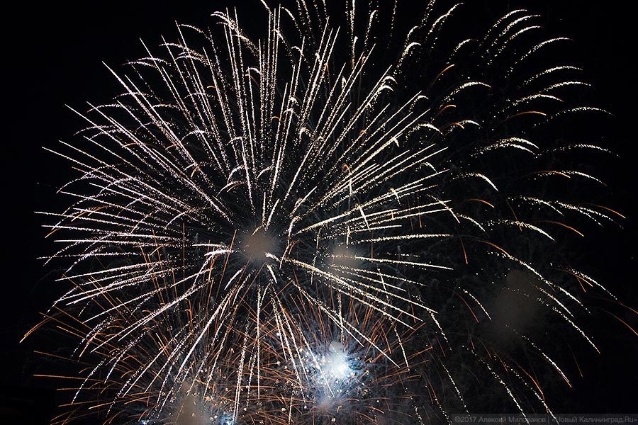 Бесконтактный зоопарк: самый удачный гала-концерт Дня города в Калининграде