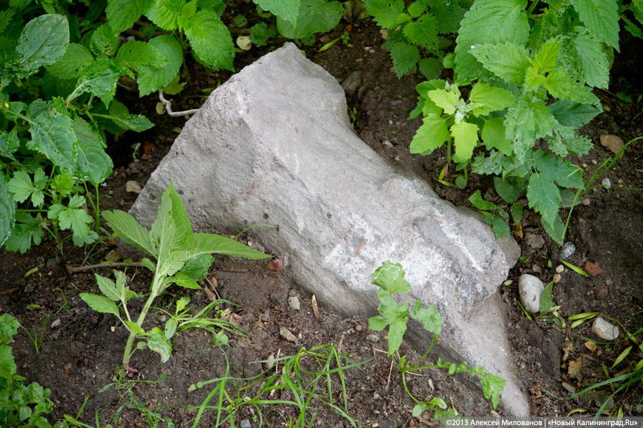 Часы и вороны: кирха в поселке Ушаково приходит в упадок