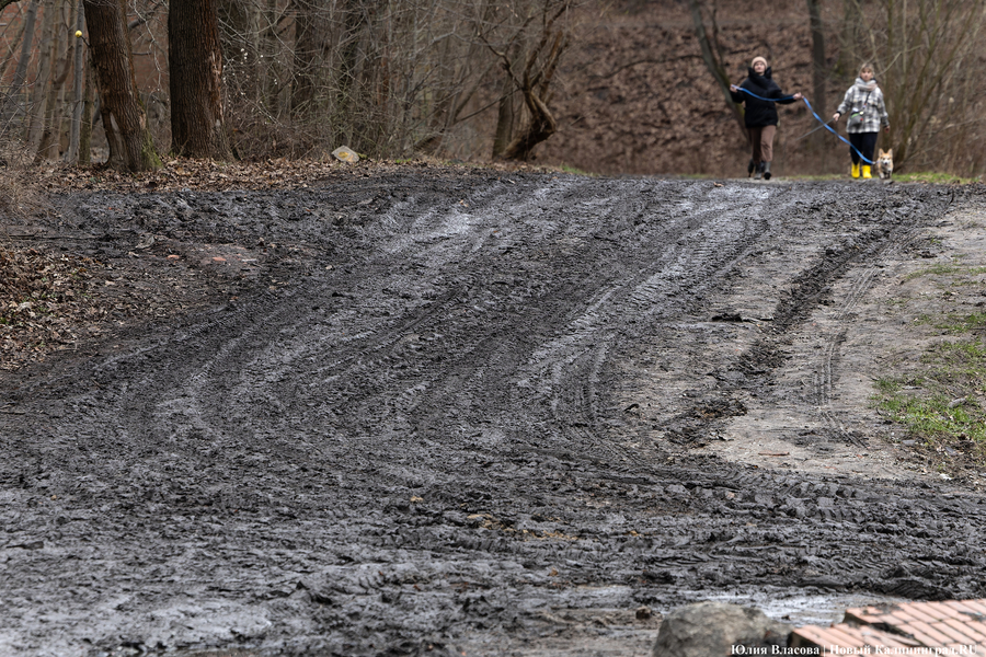 Непролазная грязь: как выглядит берег Литовского ручья в ожидании реновации (фото)
