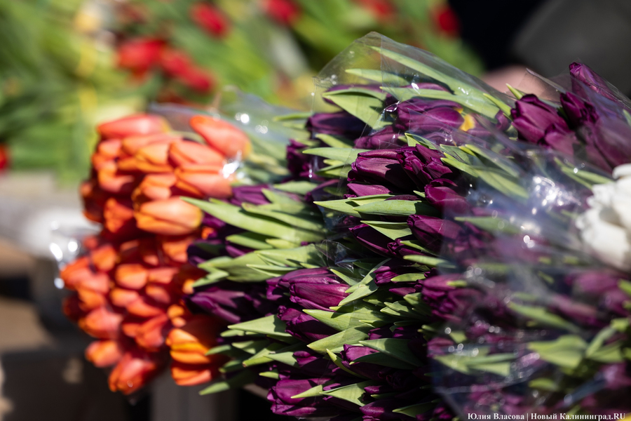Цветочные баррикады: как выглядят улицы Калининграда 8 марта (фото)