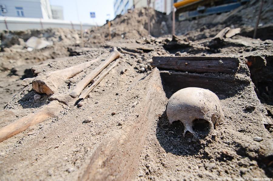 «Фильмы на костях»: фоторепортаж «Нового Калининграда.Ru»