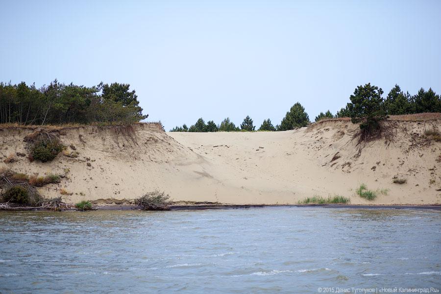 Дюны, мысы, птицы: как работает новый маршрут Куршской косы по воде