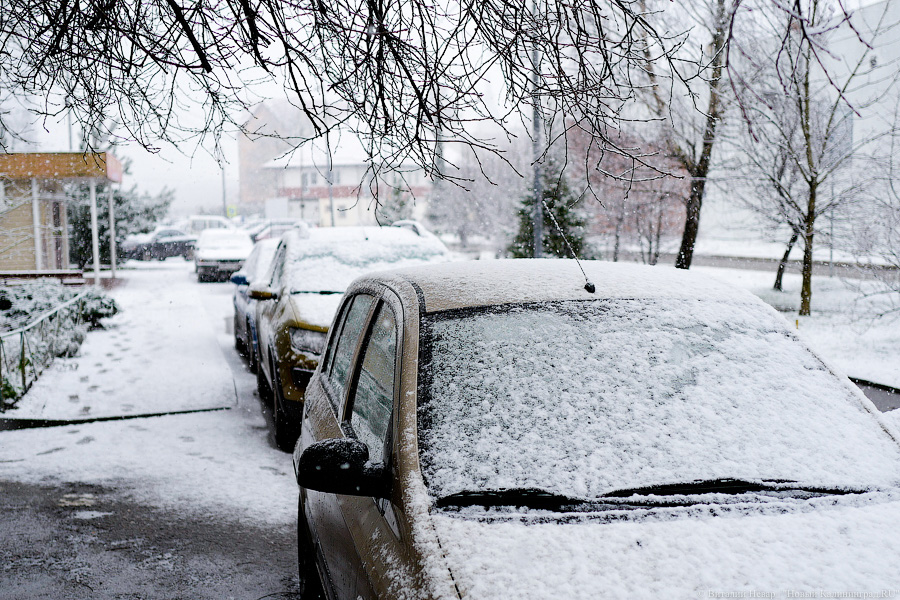 Главу СК заинтересовало дело калининградского водителя, ударившего девочку из-за снежка