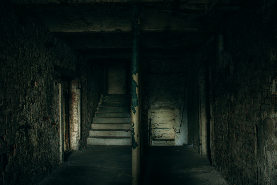 Мы — лютеране, с нами Бах: Анненкирхе приходит в Калининград