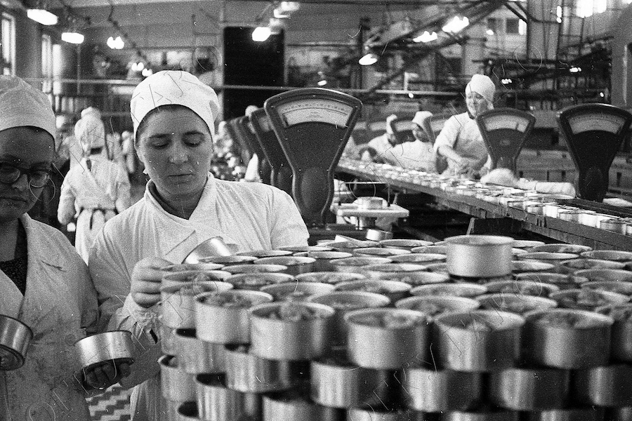 Мольба о кильке и «черный видеорынок»: чем жил Калининград 35 лет назад 