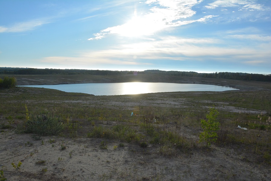 Озеро вместо леса: как выглядит после рекультивации карьер, где вырубили 60 га (фото)