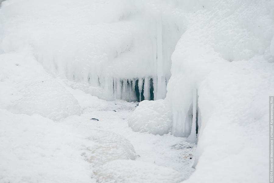 Недоморозило: холодам не удалось сковать льдом берег Балтийского моря