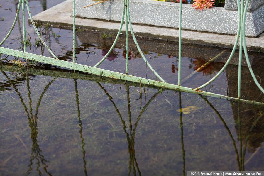 На родине Цуканова в пос. Липово тонет кладбище (+фото)