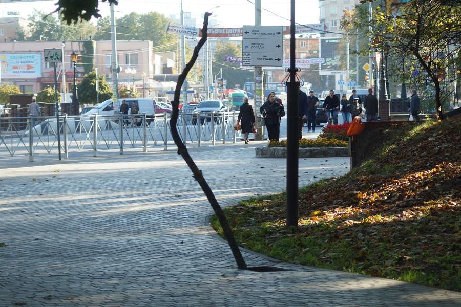 В сквере в центре Калининграда вторую неделю стоит открытым ливневый колодец 
