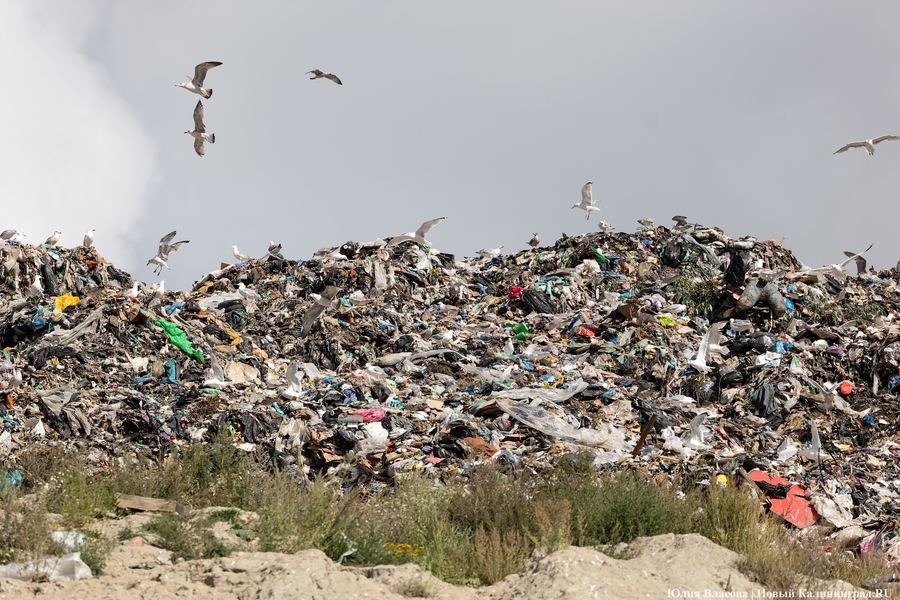 «Стихией управлять не научились»: как глава Минприроды РФ понюхал воздух в Круглово (фото)