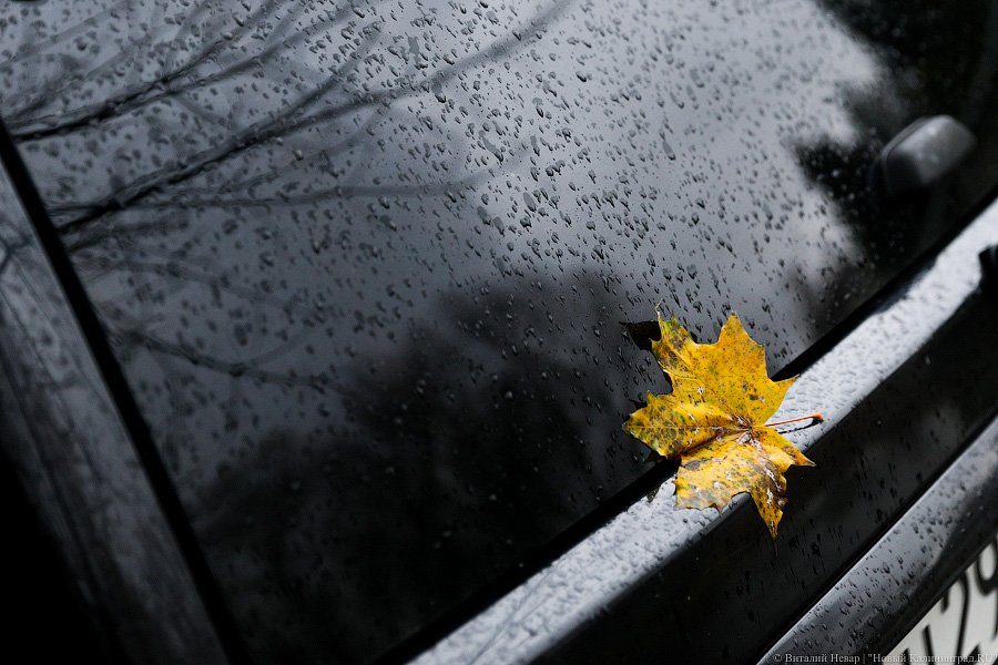 Водный мир на Орудийной: в Калининграде тонет в болоте жилой дом