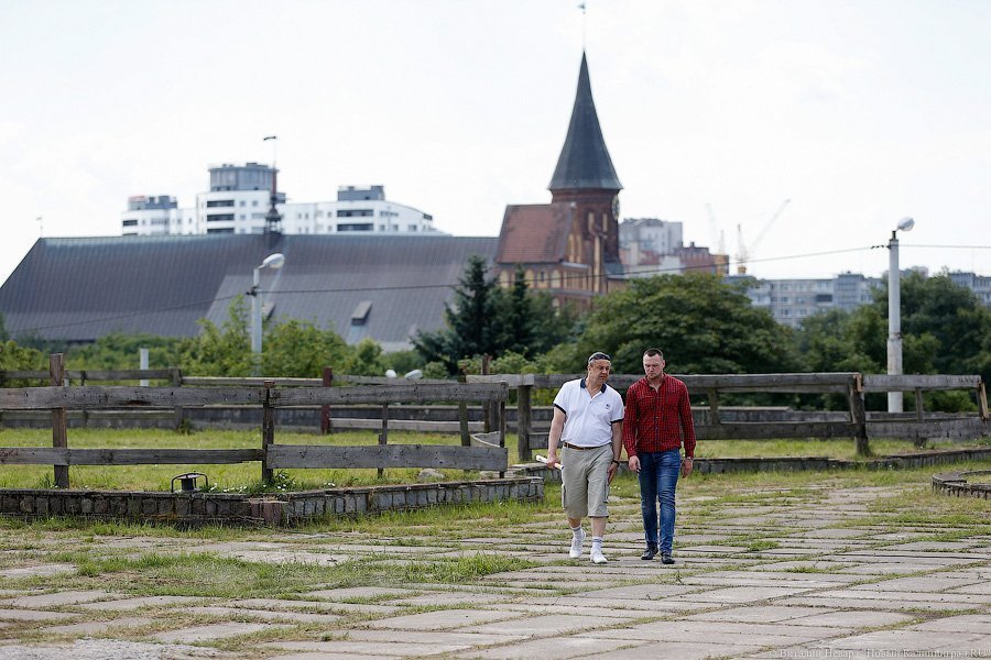 «Повезёт другим»: как прошёл субботник на территории руин замка «Кёнигсберг»