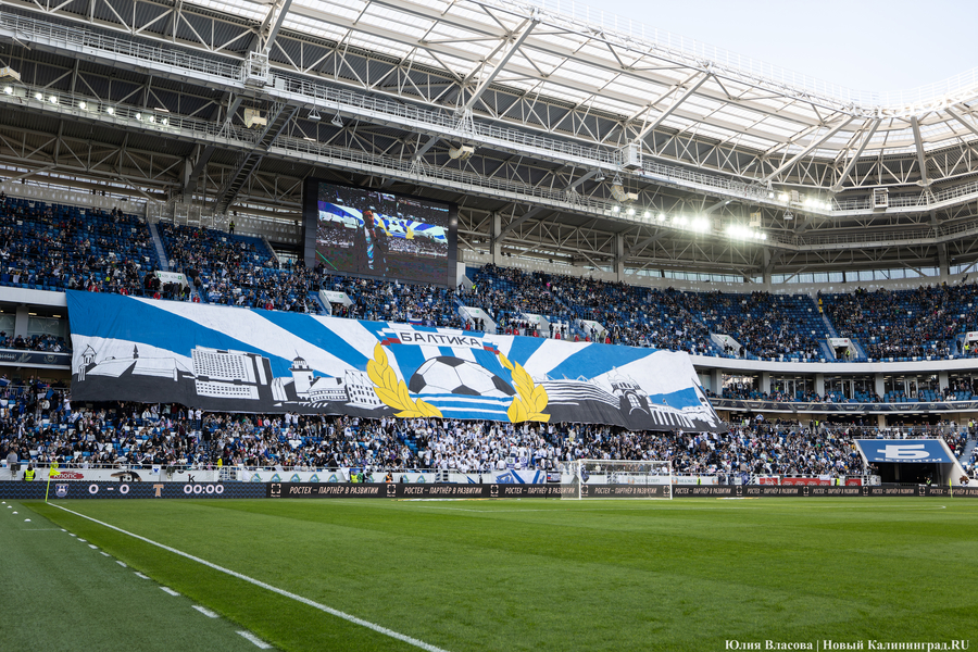 Фото: Юлия Власова / Новый Калининград