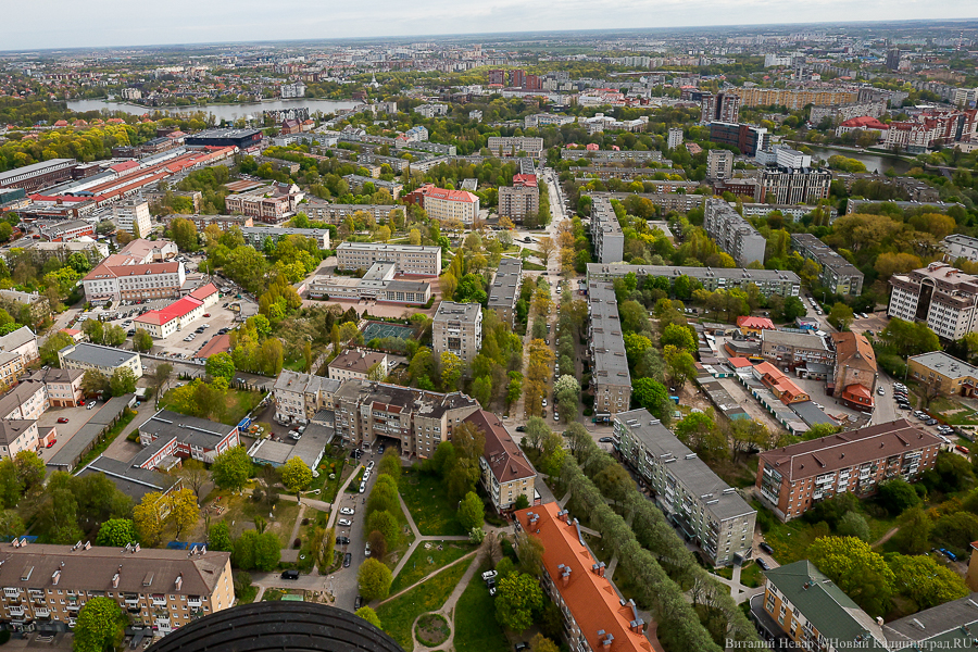 Калининградцы жалуются на неприятный запах, администрация города ищет источник