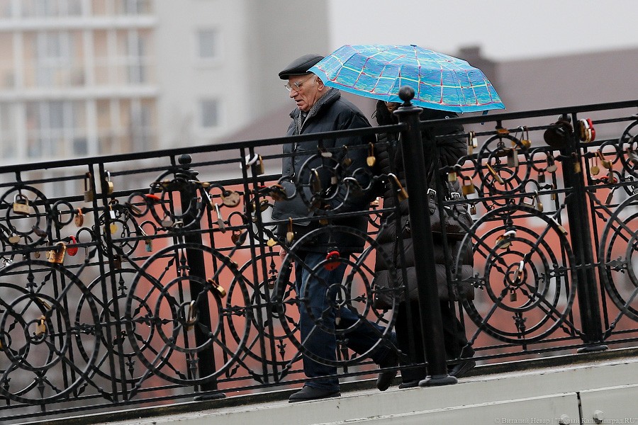 Метеорологи прогнозируют дождливую неделю в Калининградской области
