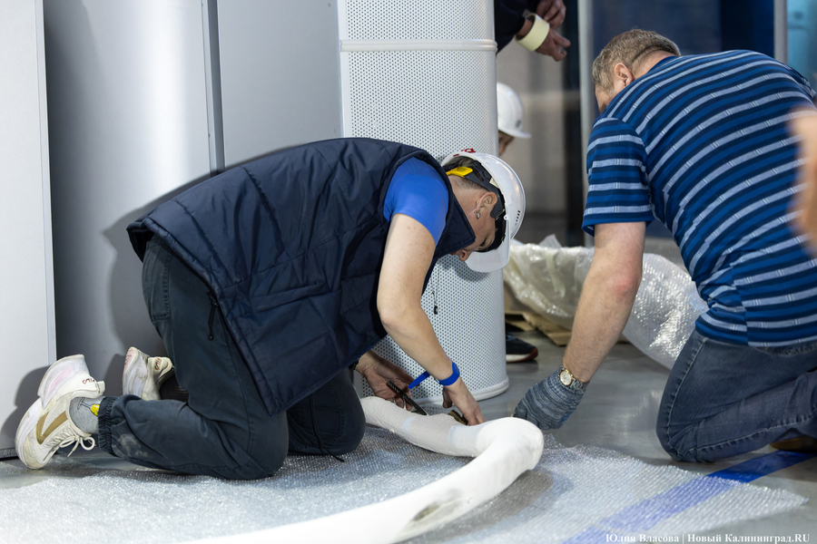 Первый «обитатель» «Планеты Океан»: скелет кашалота переезжает из «Глубины» (фото)