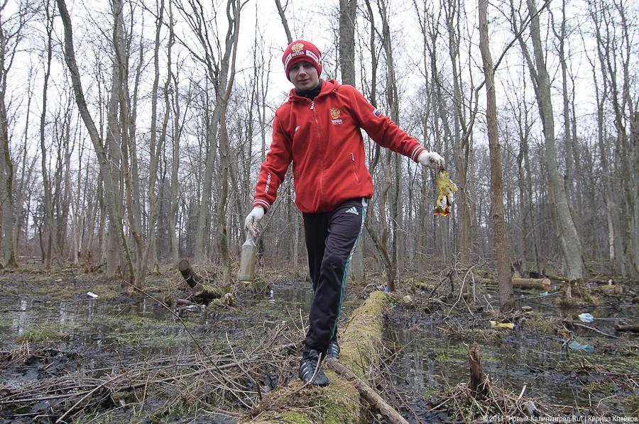 "Чистый лес: 115 на 40": фоторепортаж "Нового Калининграда.Ru" 