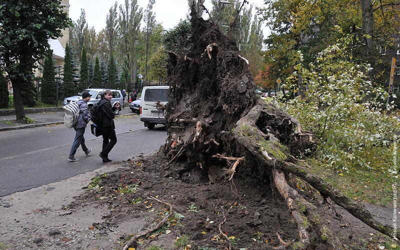 Итоги года-2009: Главные кадры