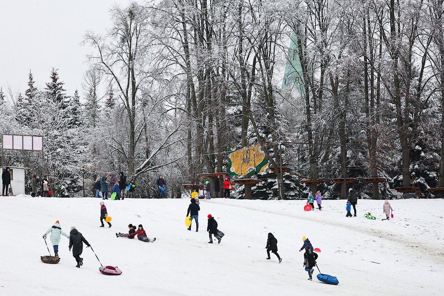 Полет на санках: как в Центральном парке Калининграда с горки катаются (фото)