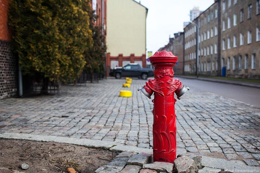 Кёнигсберг в Калининграде: как проходят «народные» экскурсии по улицам города