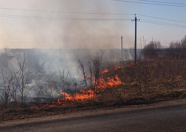 В Советске из-за поджогов травы едва не сгорели жилые дома (+фото)
