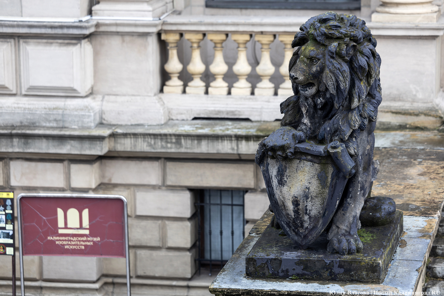 Восстановить и сохранить: скульптуры львов у бывшей биржи готовят к реставрации