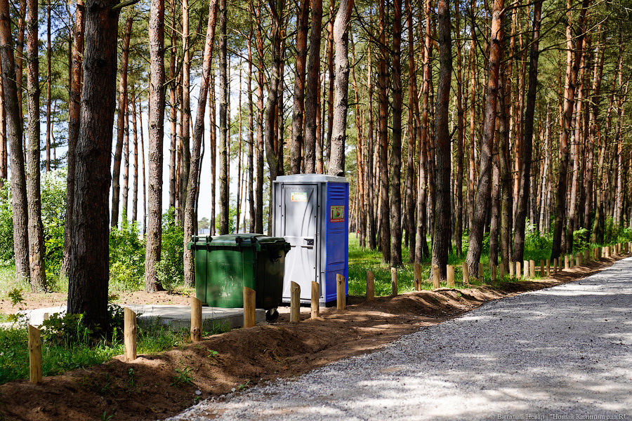 «Не врите мне»: фекалии в воде не портят отдых калининградским купальщикам (фото)
