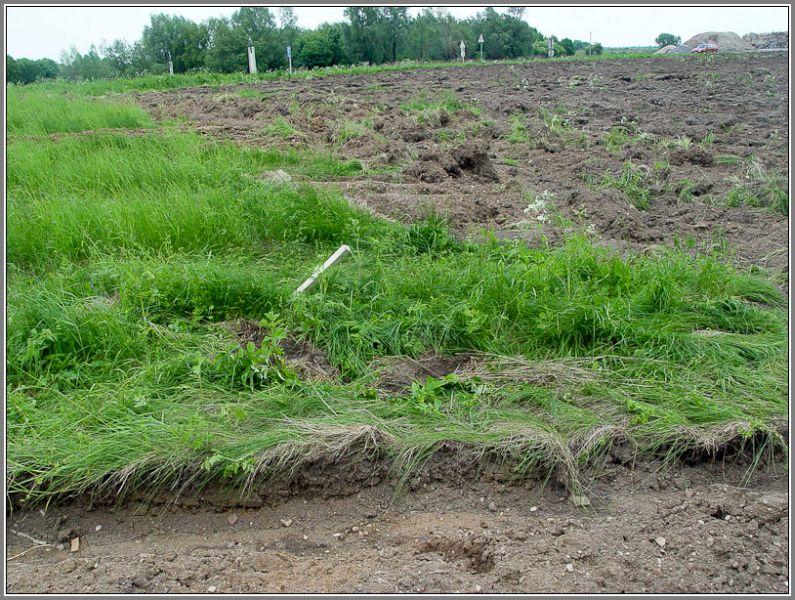 Заброшенная память: крупное захоронение Первой мировой под угрозой