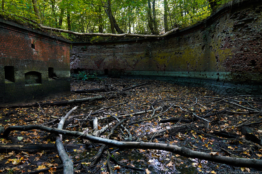 Арендатор форта №8: мы оставим его разрушенным (фото)