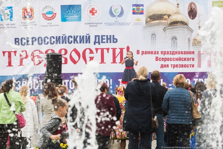 Опрос: почти у половины россиян есть родственники и друзья алкоголики