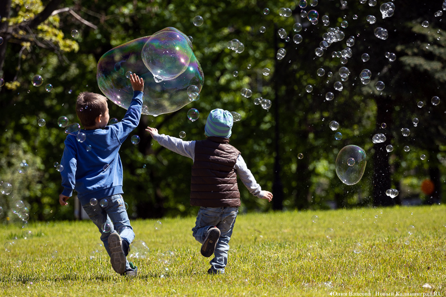 В Калининграде предложили дать многодетным семьям бесплатный доступ в музеи