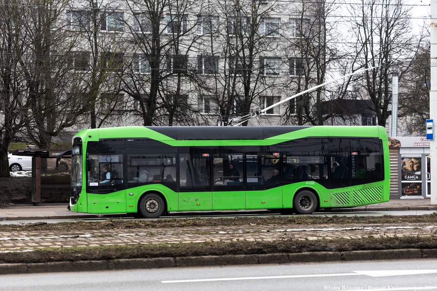Переработать маршрутную сеть Калининграда планируют в середине 2026 года