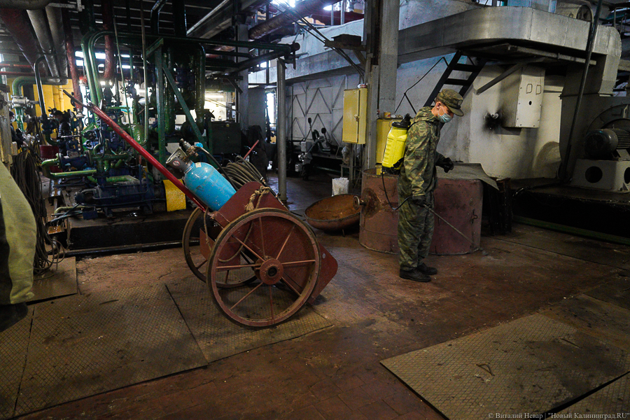 Ты не пройдешь: Балтфлот продезинфицировал от коронавируса 33-ий судоремзавод (фото)