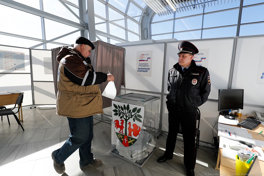 За гречку и тушёнку: как калининградцы выбирали президента России (фото)