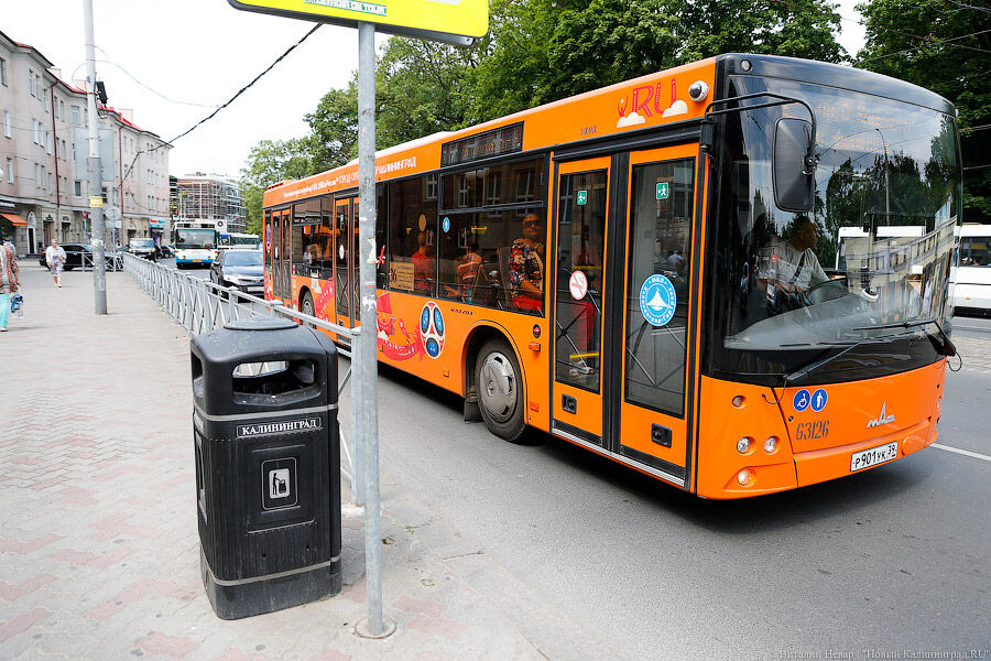 «Пойдет на остров»: в Калининграде в середине лета планируют изменить маршрут автобуса № 11